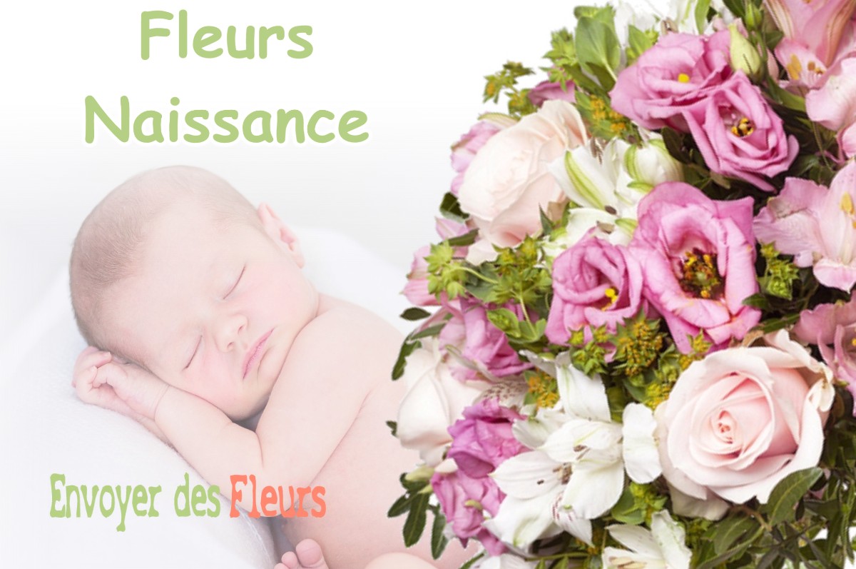 lIVRAISON FLEURS NAISSANCE à SENONCOURT